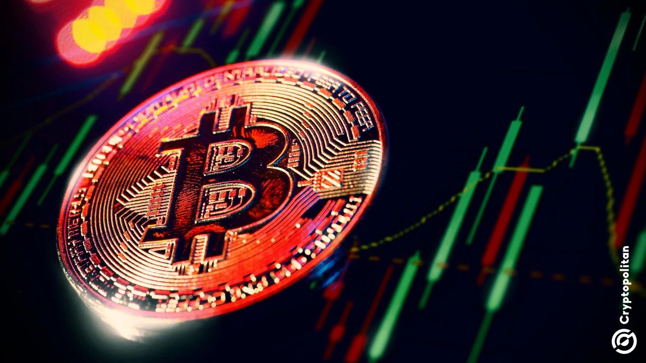 Coinbase Premium Hits Record High as Demand for Bitcoin Soars in the United States